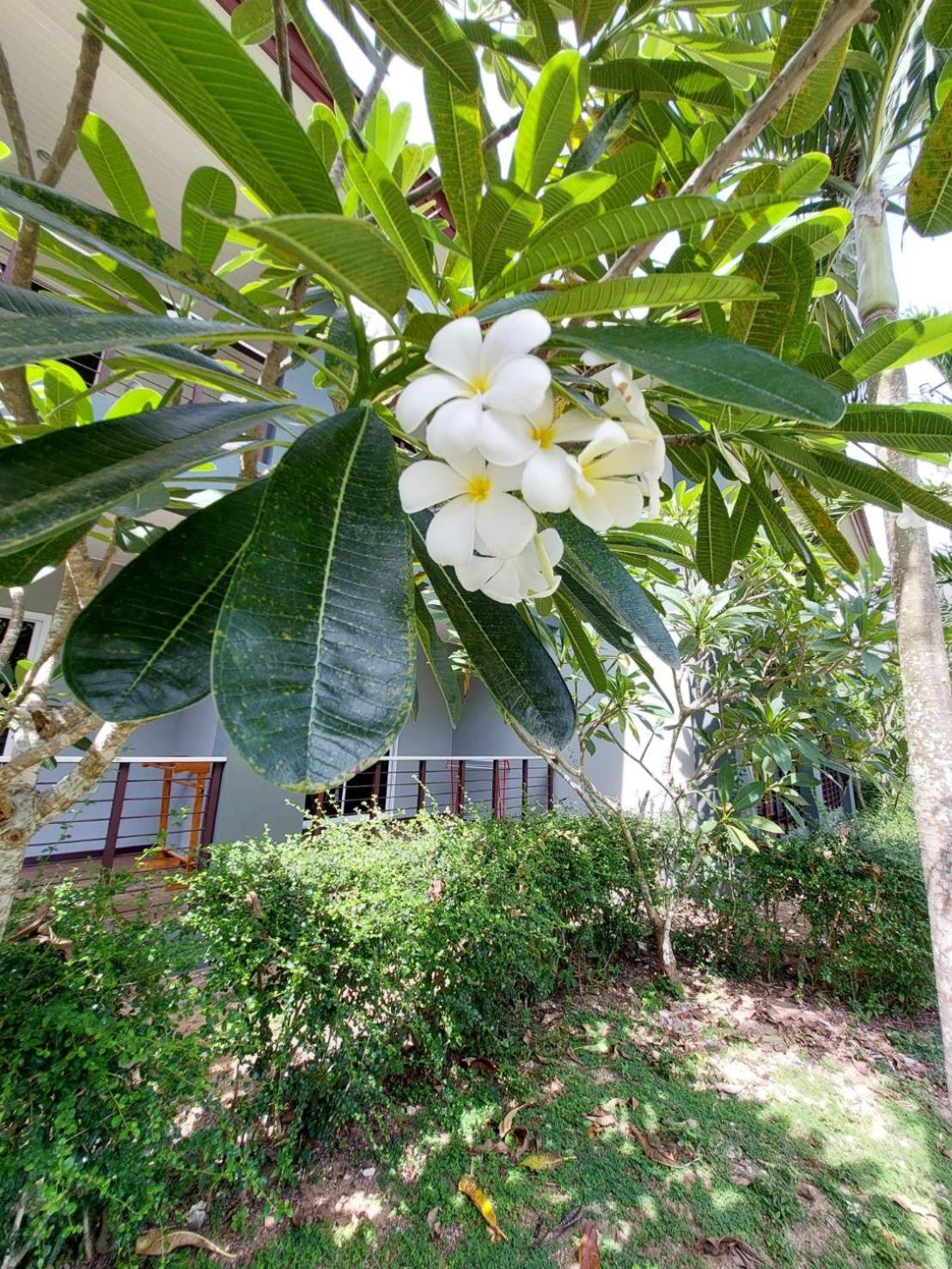 Sisina Resort Prachuap Khiri Khan Esterno foto